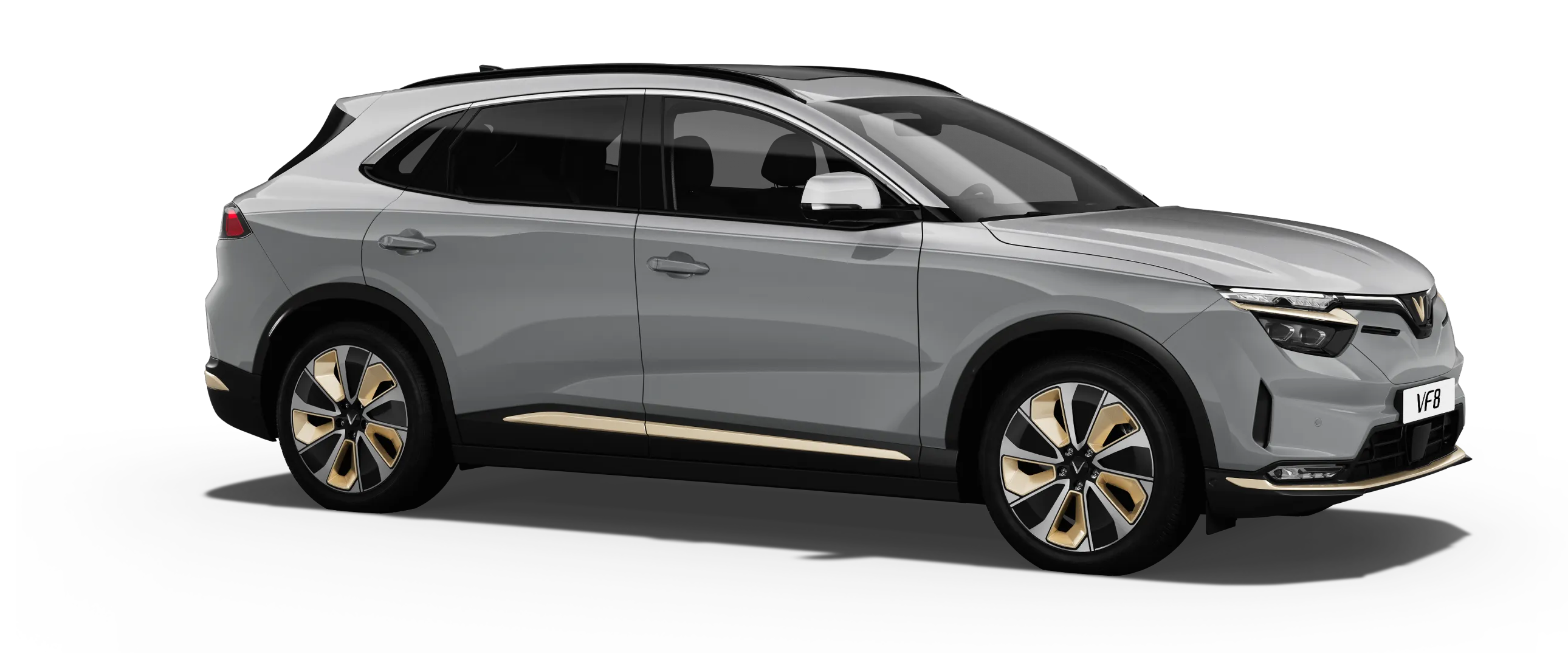 Zenith Grey - Desat Silver Roof VF8