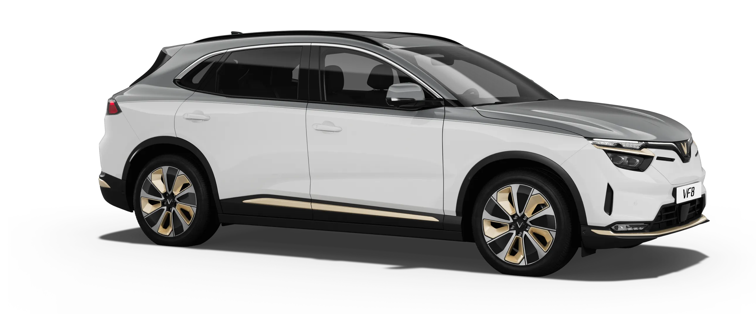 Infinity Blanc - Zenith Grey Roof VF8